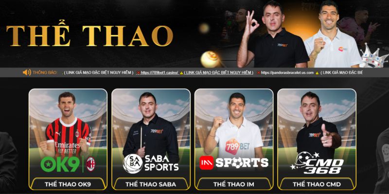 Cá cược thể thao tại 789bet